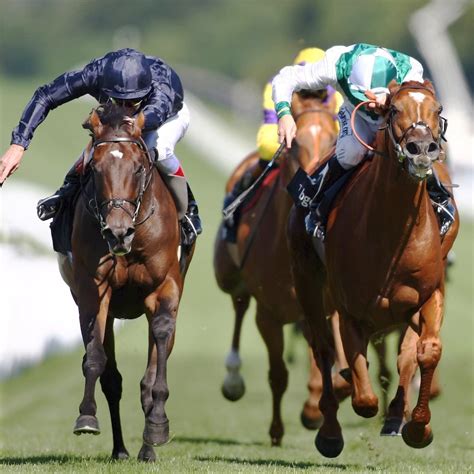 greatest horse racing rivalries|Five of racing's great rivalries .